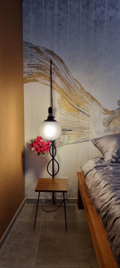 Logies La Chevre Folle - & Cooking In Style With Shared Kitchen Bed & Breakfast Ostende